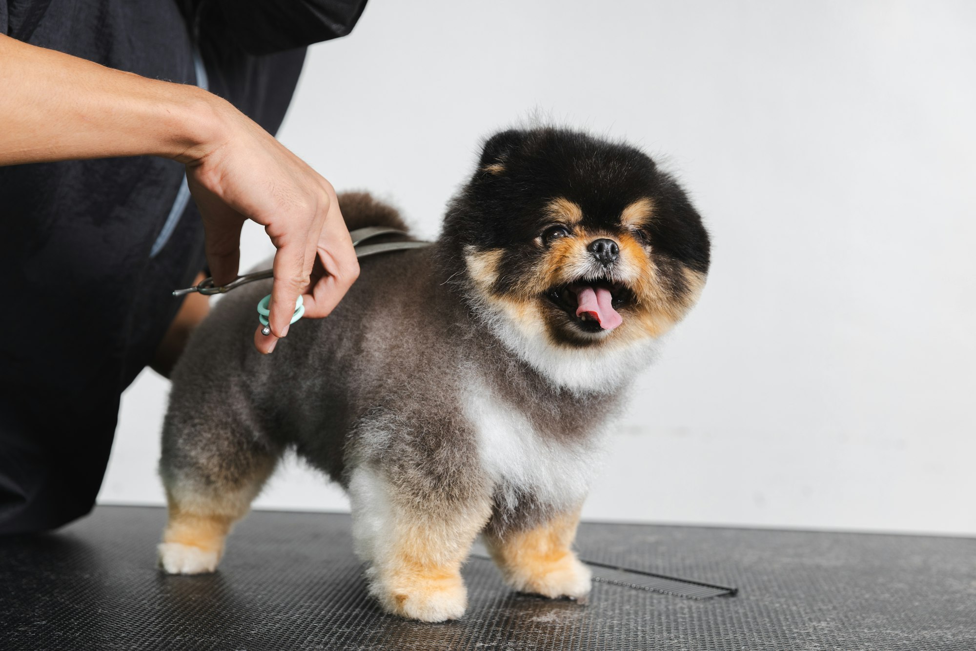 Servicio corte de pelo